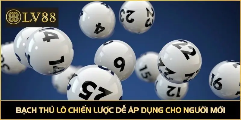 Bạch thủ lô chiến lược dễ áp dụng cho người mới