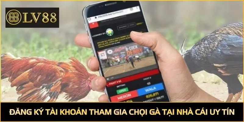 Đăng ký tài khoản tham gia chọi gà tại nhà cái uy tín