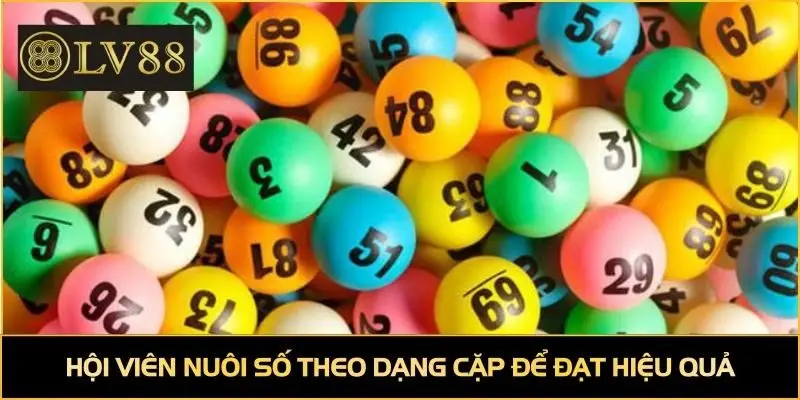 Hội viên nuôi số theo dạng cặp để đạt hiệu quả